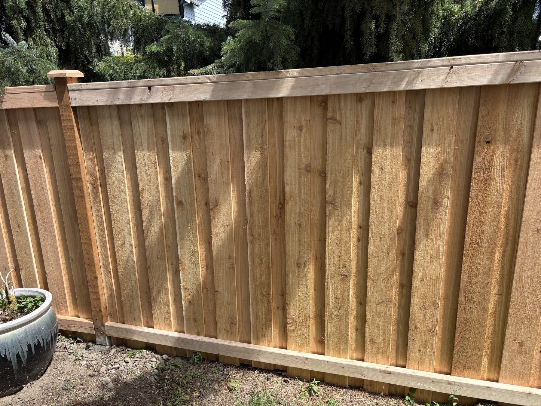 Board-on-board cedar privacy fence detail in Bothell Washington