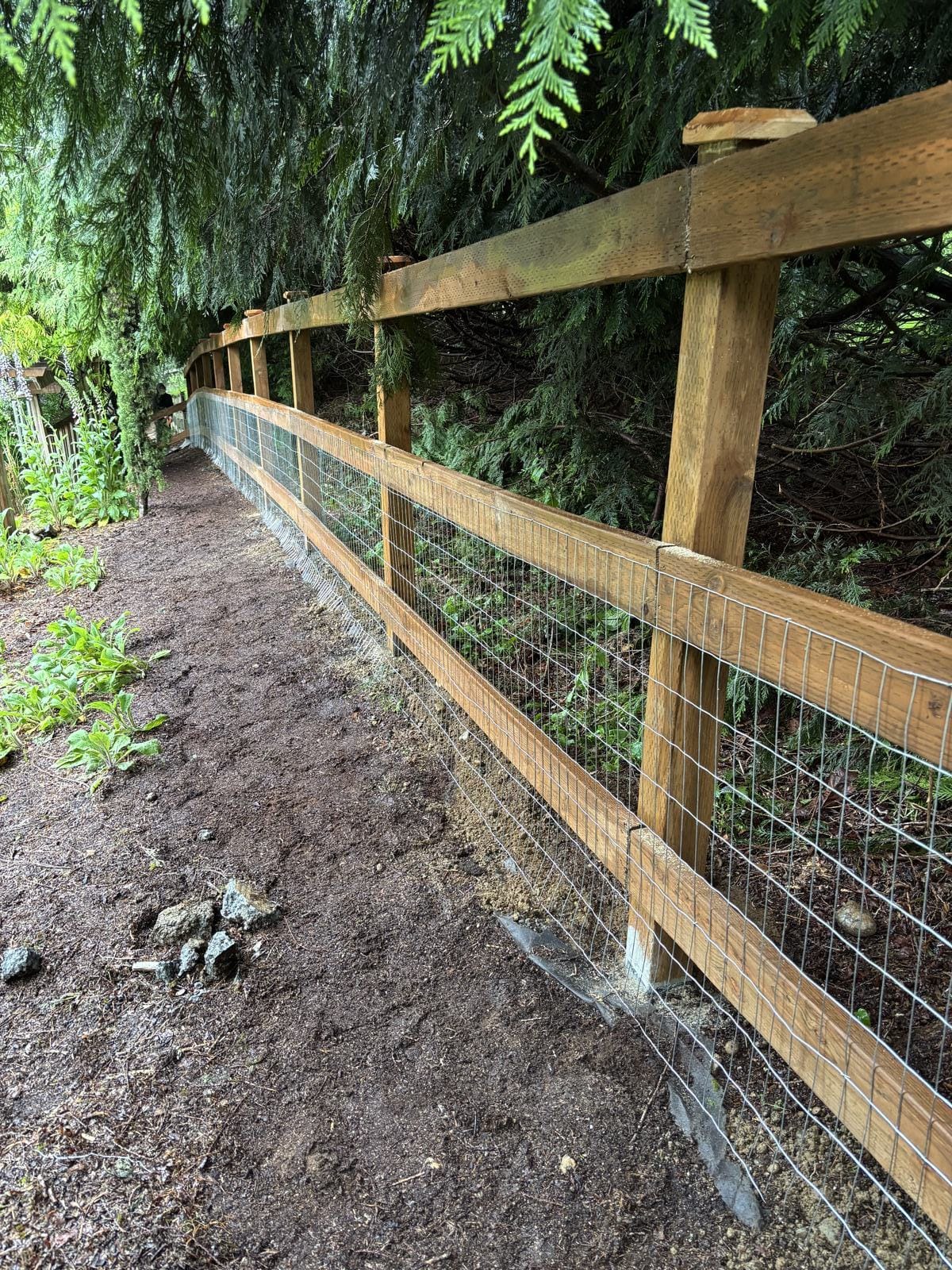 Cedar ranch fence with hog wire detail in Sammamish Washington