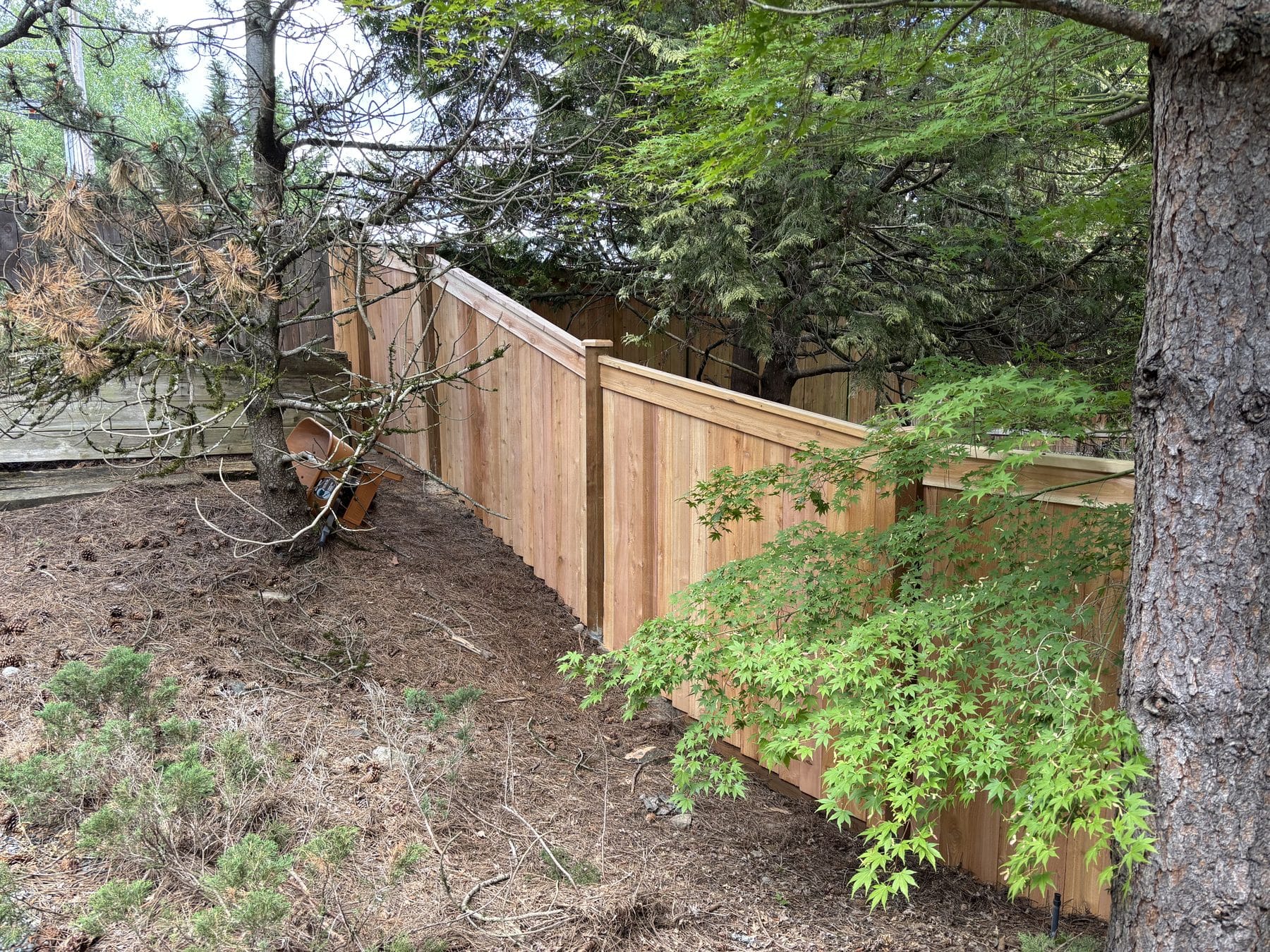 Completed 50 foot cedar privacy fence in Kirkland WA