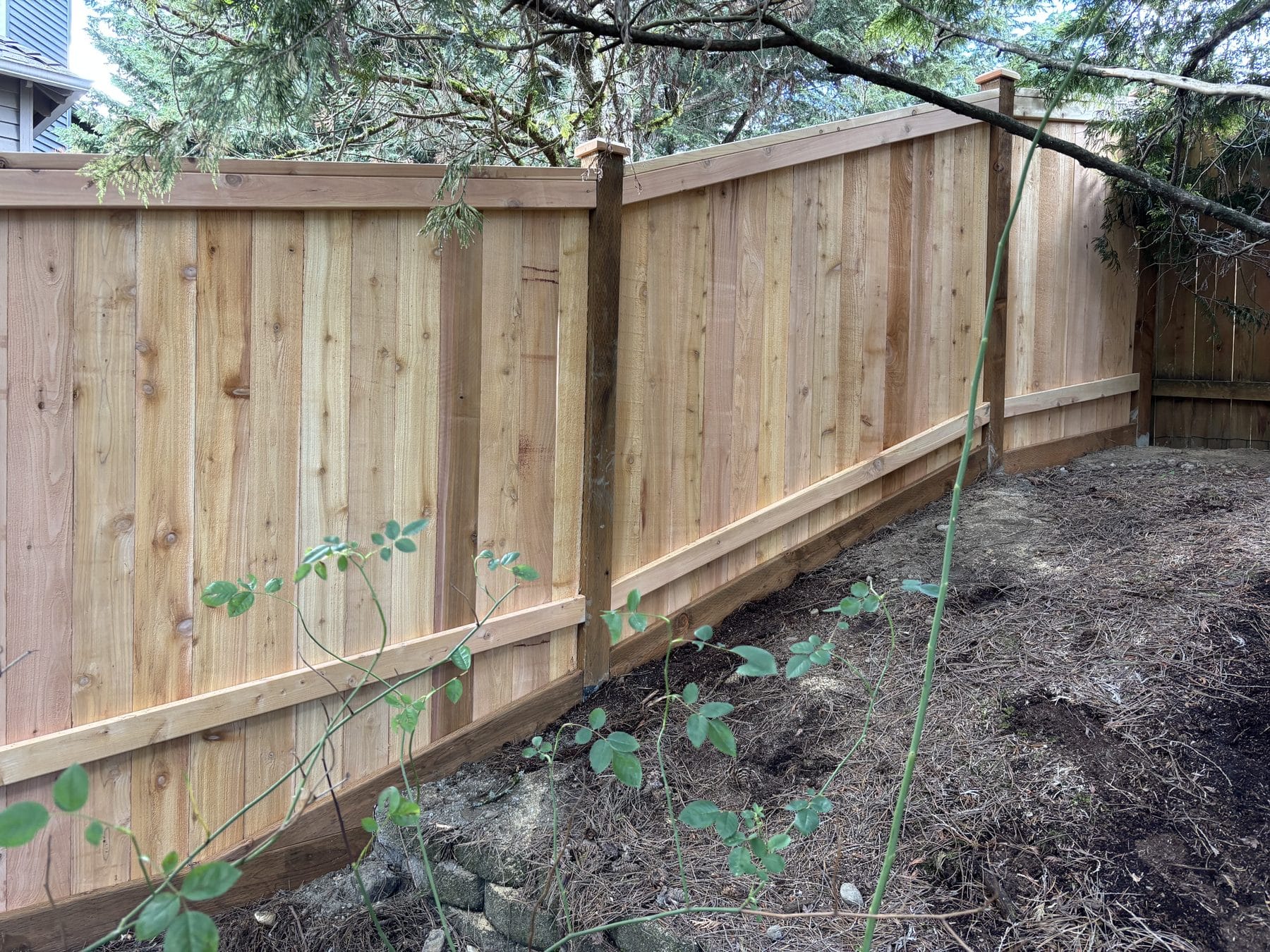 Cedar privacy fence following a grade change in a Kirkland yard