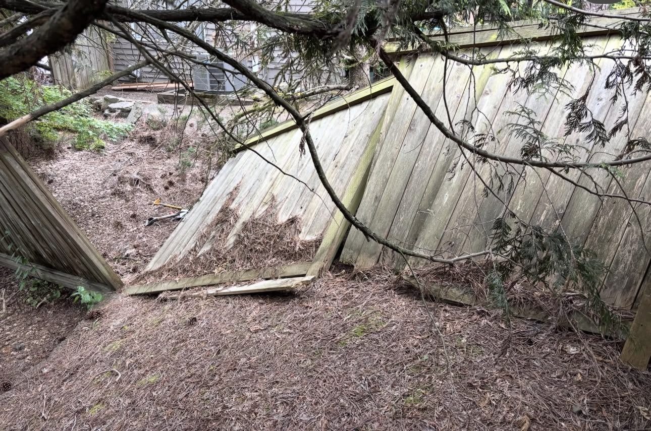 Collapsed wood fence before cedar fence replacement in Kirkland Washington