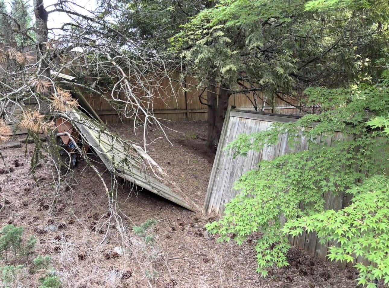 Old damaged wood fence before replacement in Kirkland WA