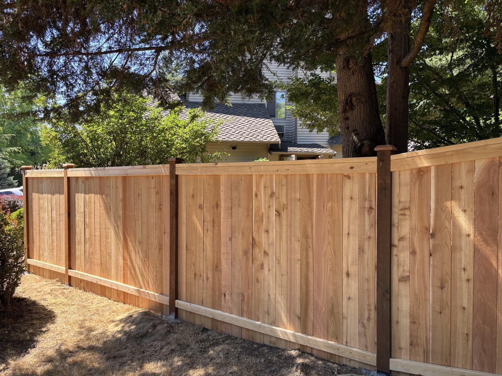 New 6-foot cedar full-panel fence after installation in Redmond WA