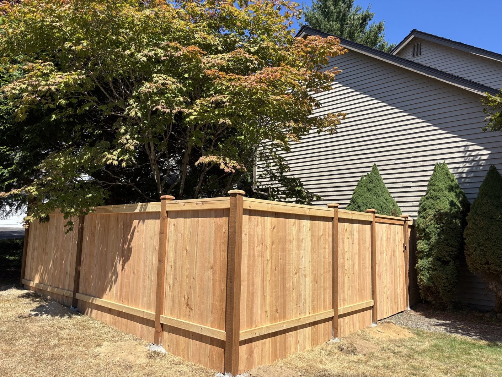 Completed cedar fence replacement with custom gate in Redmond WA