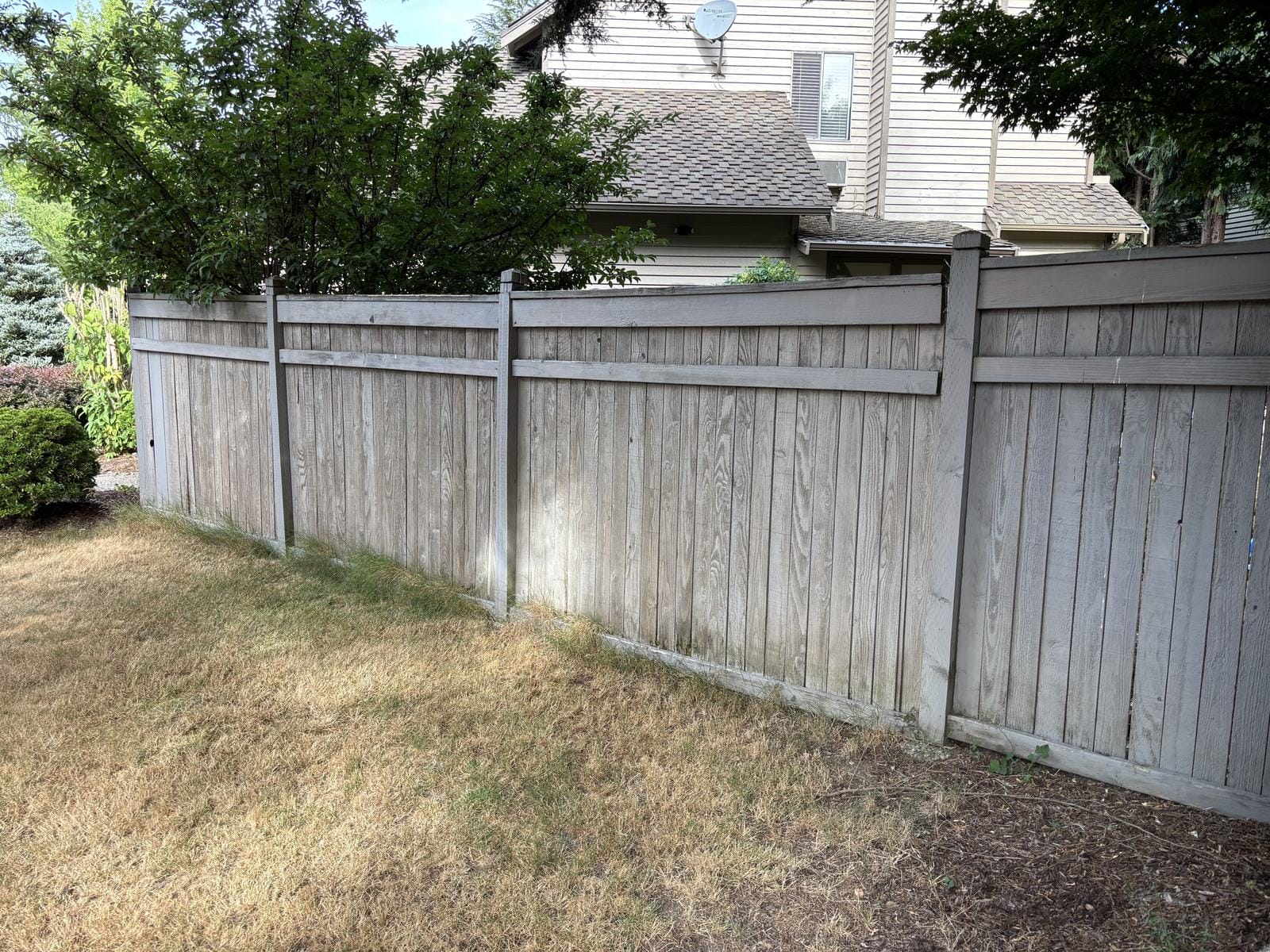 Weathered cedar fence before replacement in Redmond WA