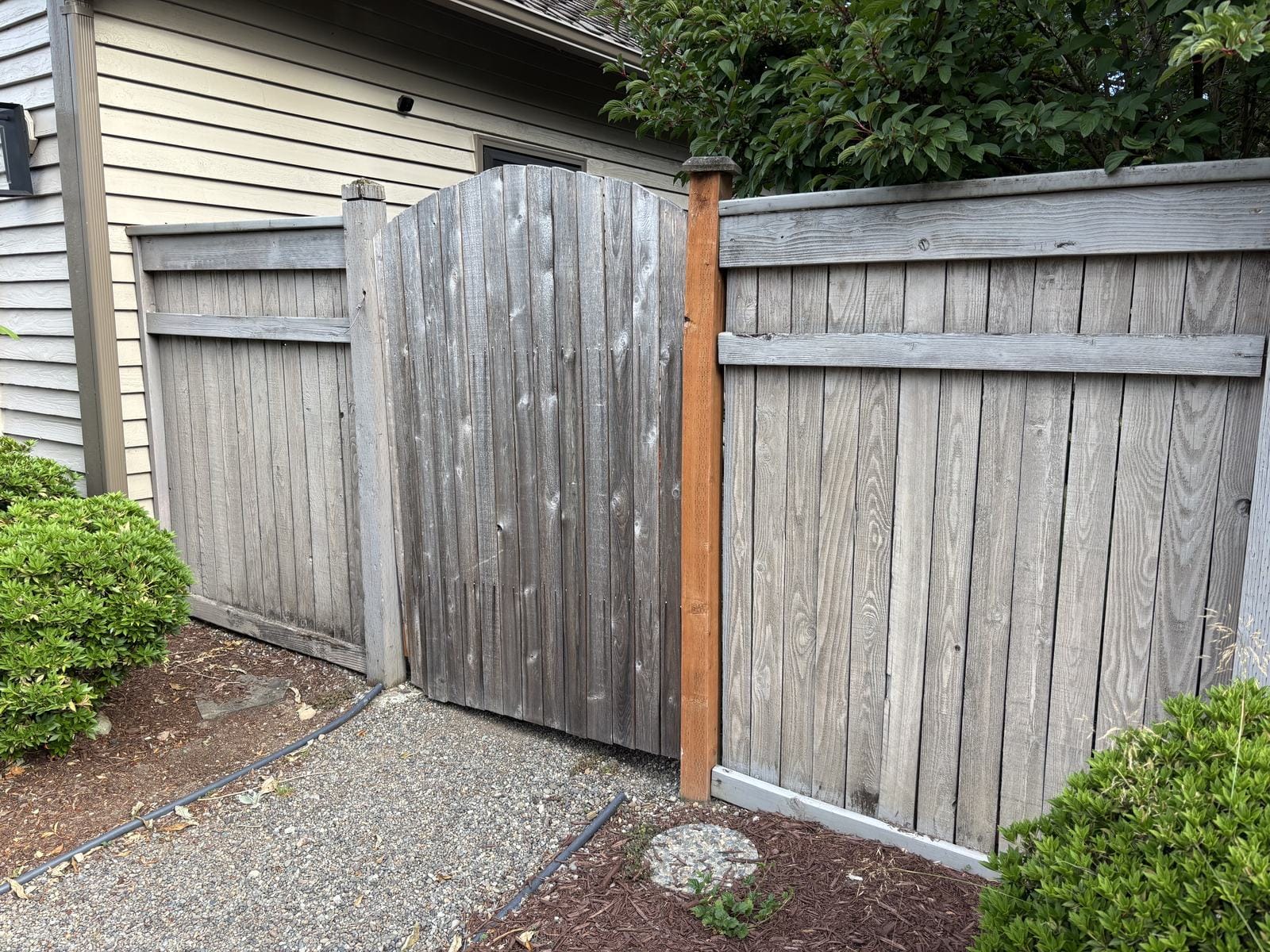 Old cedar gate before replacement in Redmond WA