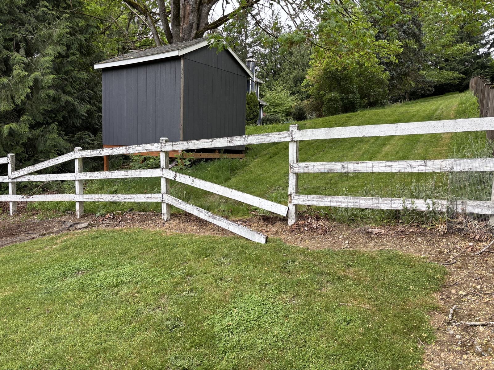 Old white ranch fence before replacement in Sammamish WA