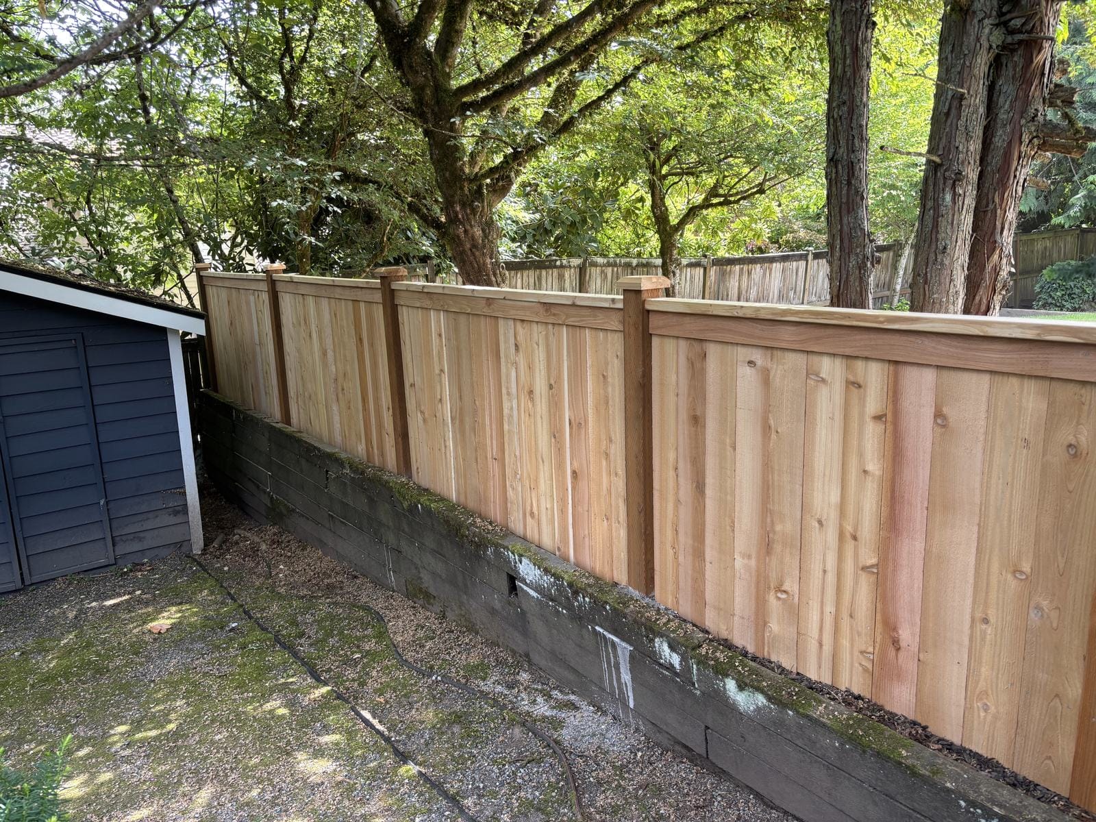 Inside view of five foot cedar full-panel fence beside a retaining edge in Sammamish