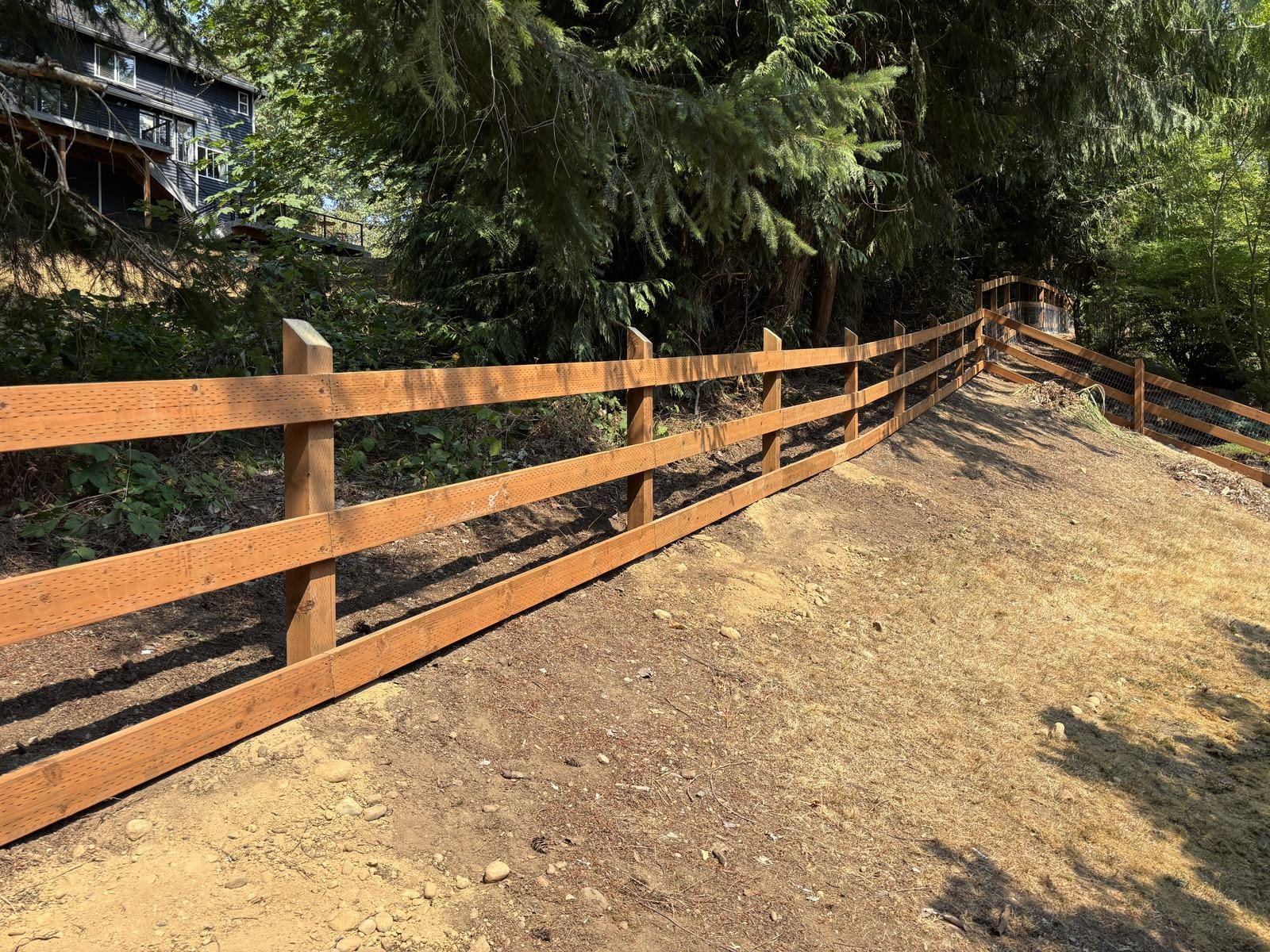 New cedar ranch fence after replacement for a returning Sammamish customer