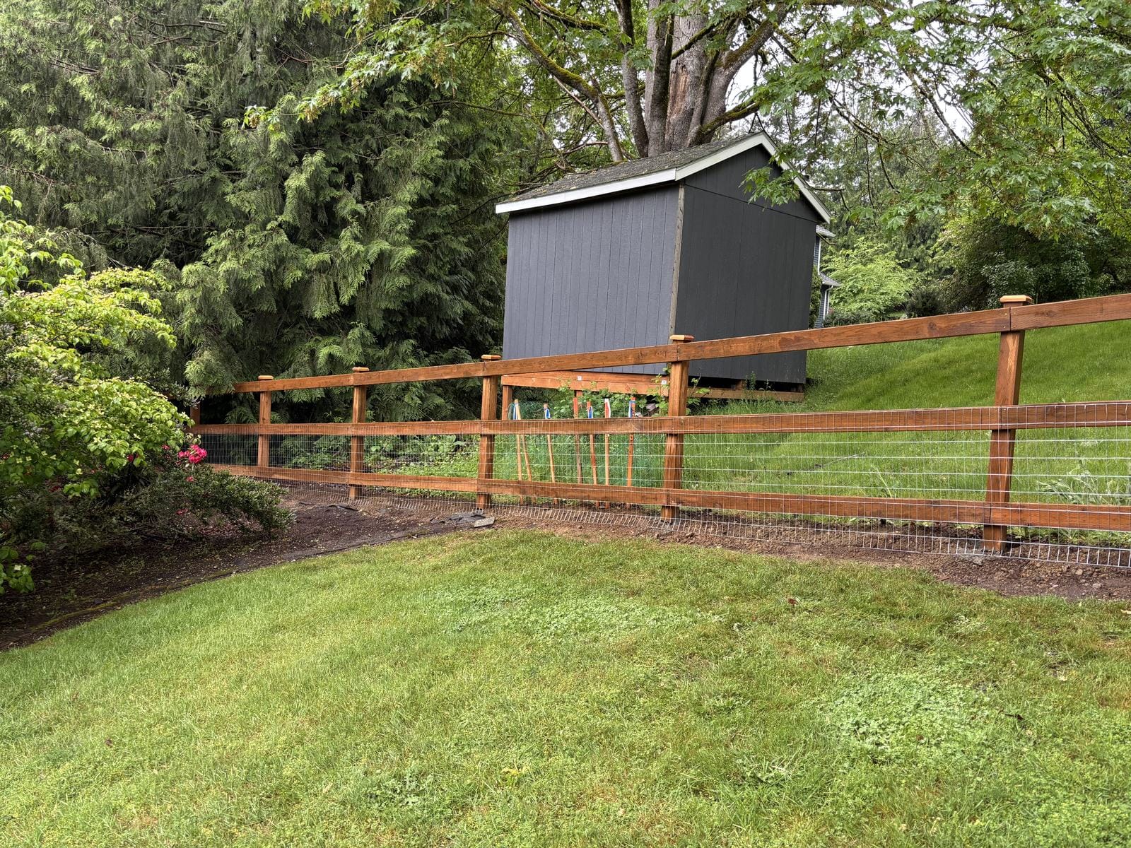 New cedar ranch and hog wire fence after installation in Sammamish WA