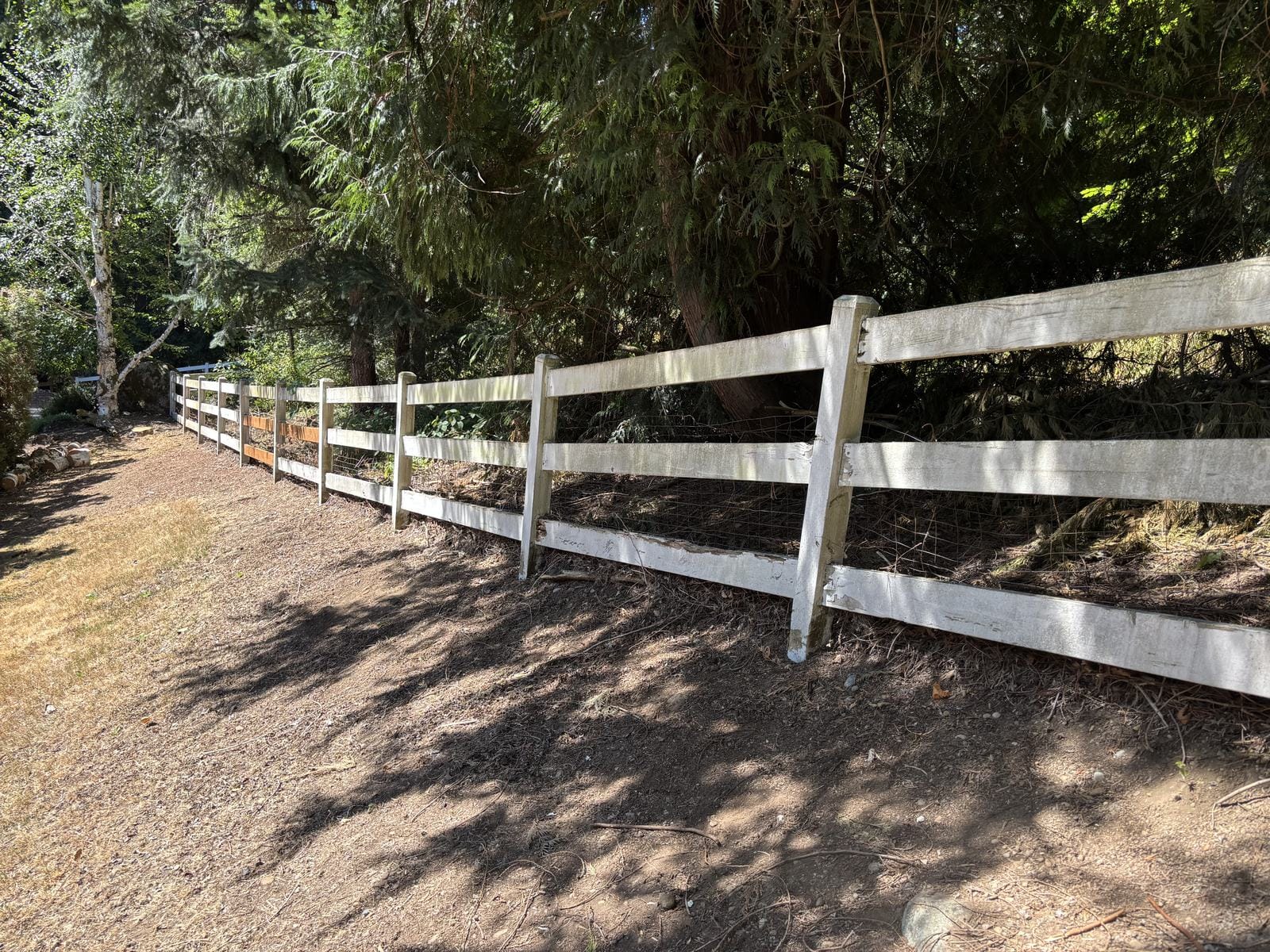 Old white ranch fence before the second Sammamish fence project