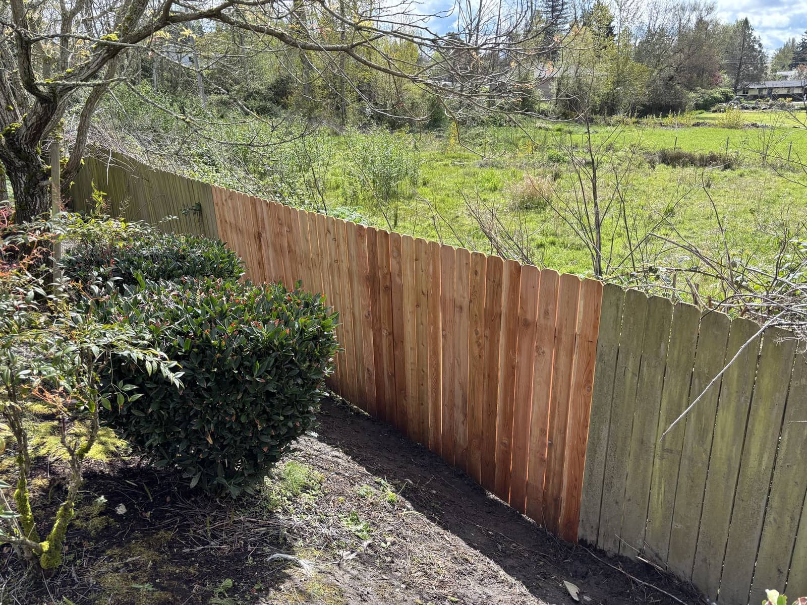 Church property fence repair transition in Seattle