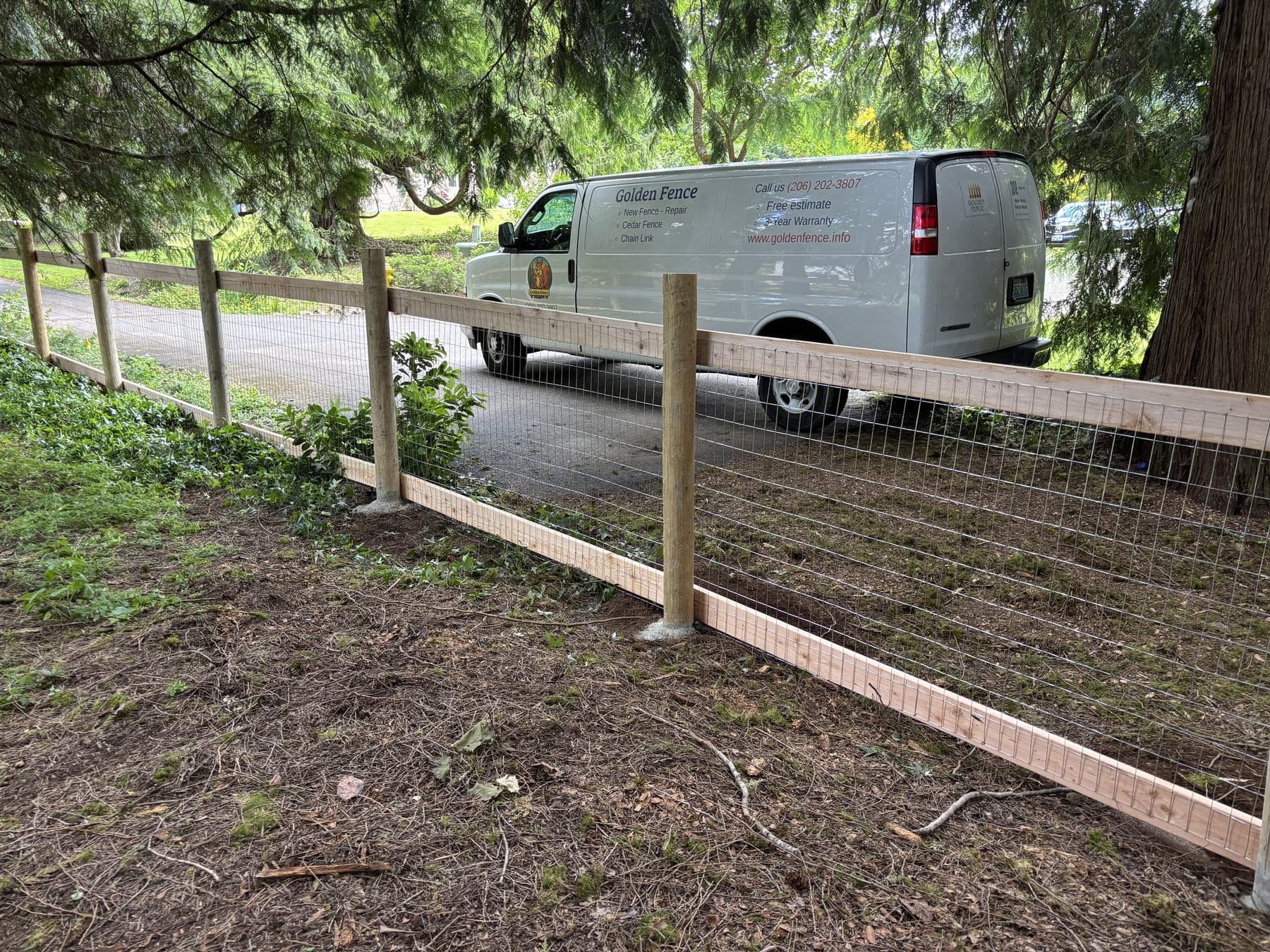 Five foot hog wire fence installed among mature trees in Woodinville WA