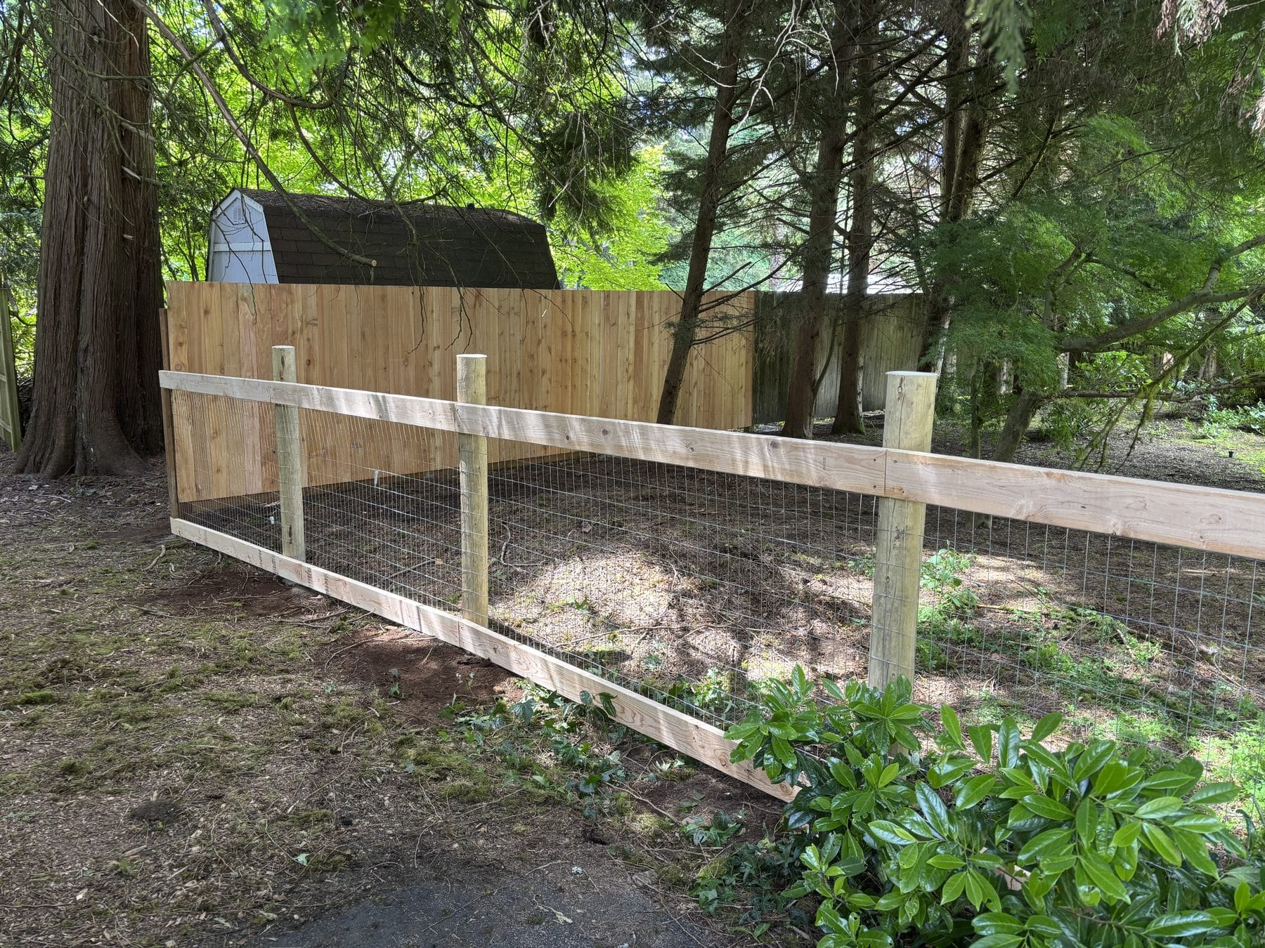 Hog wire and cedar privacy fence combination in Woodinville