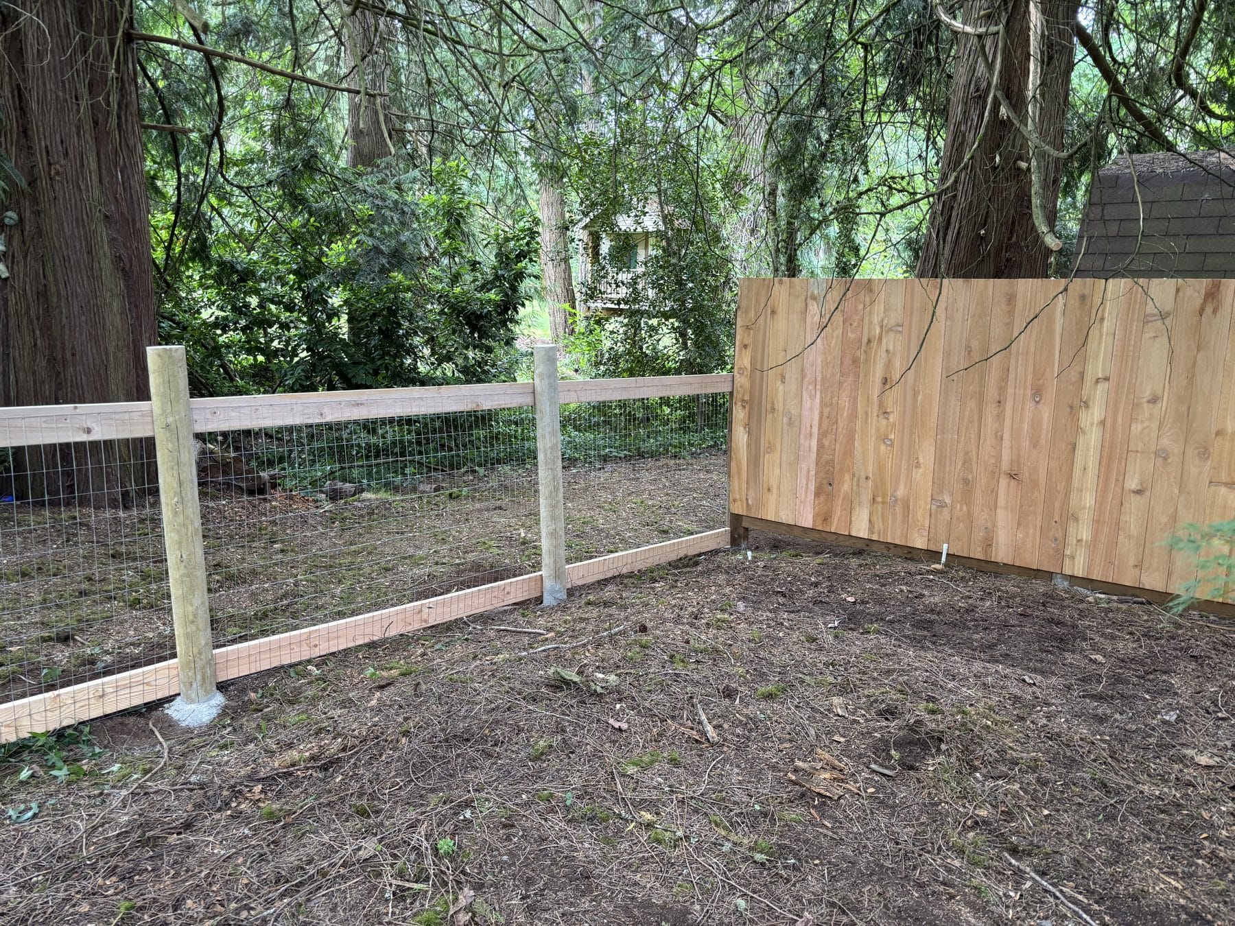 Transition between hog wire fence and estate cedar panels in Woodinville
