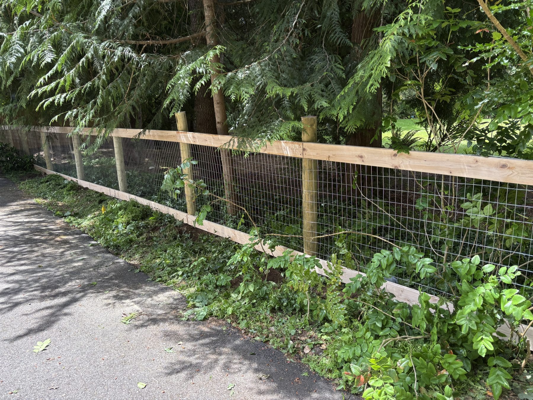 Hog wire fence with custom round wood posts in Woodinville